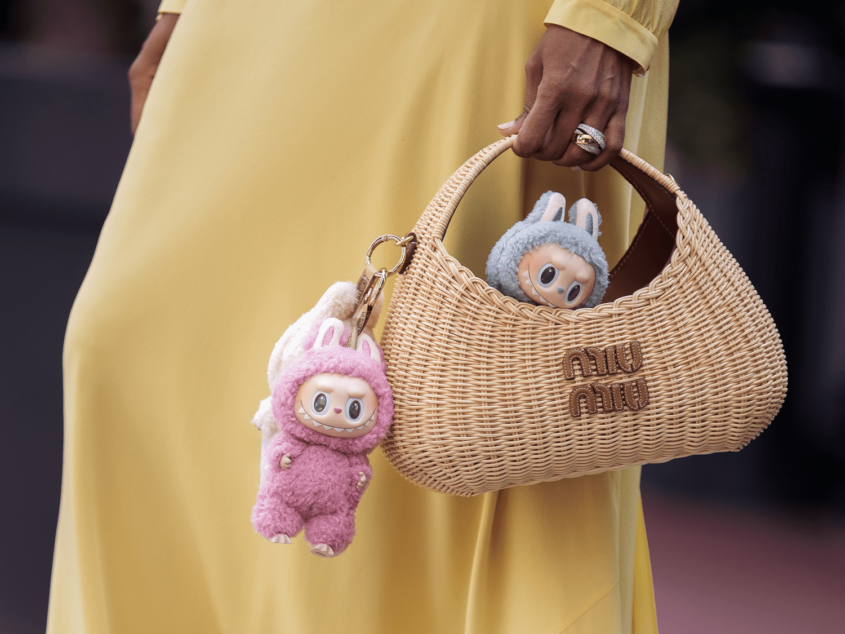 Labubu Love: The Charm with Unstoppable Appeal